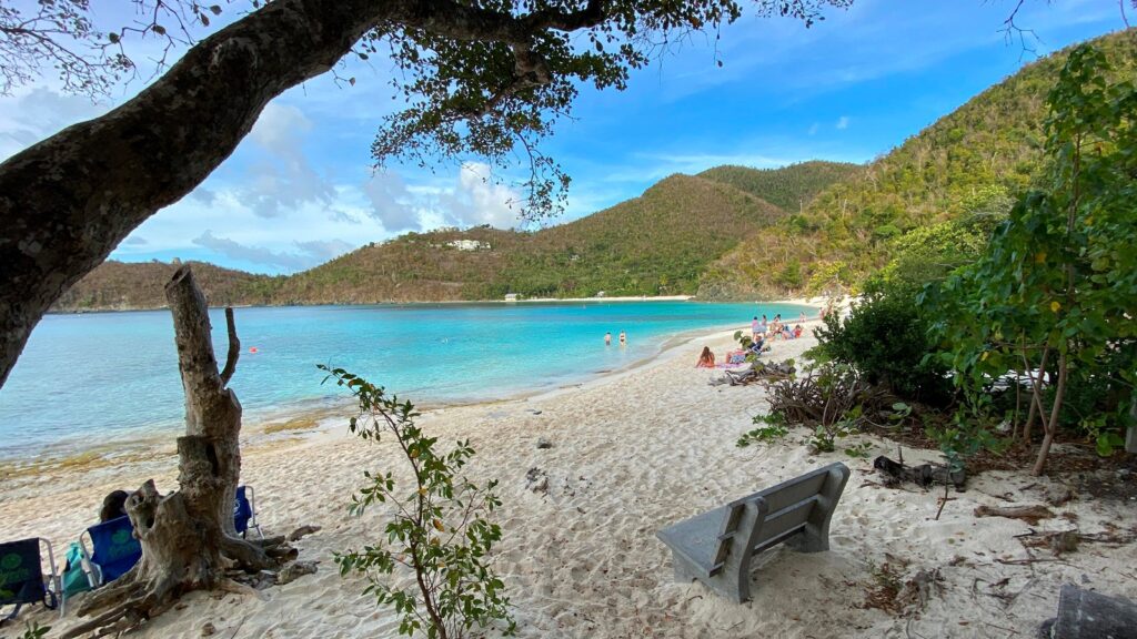 A long view of Hawksnest Beach set from under a sprawling tree.